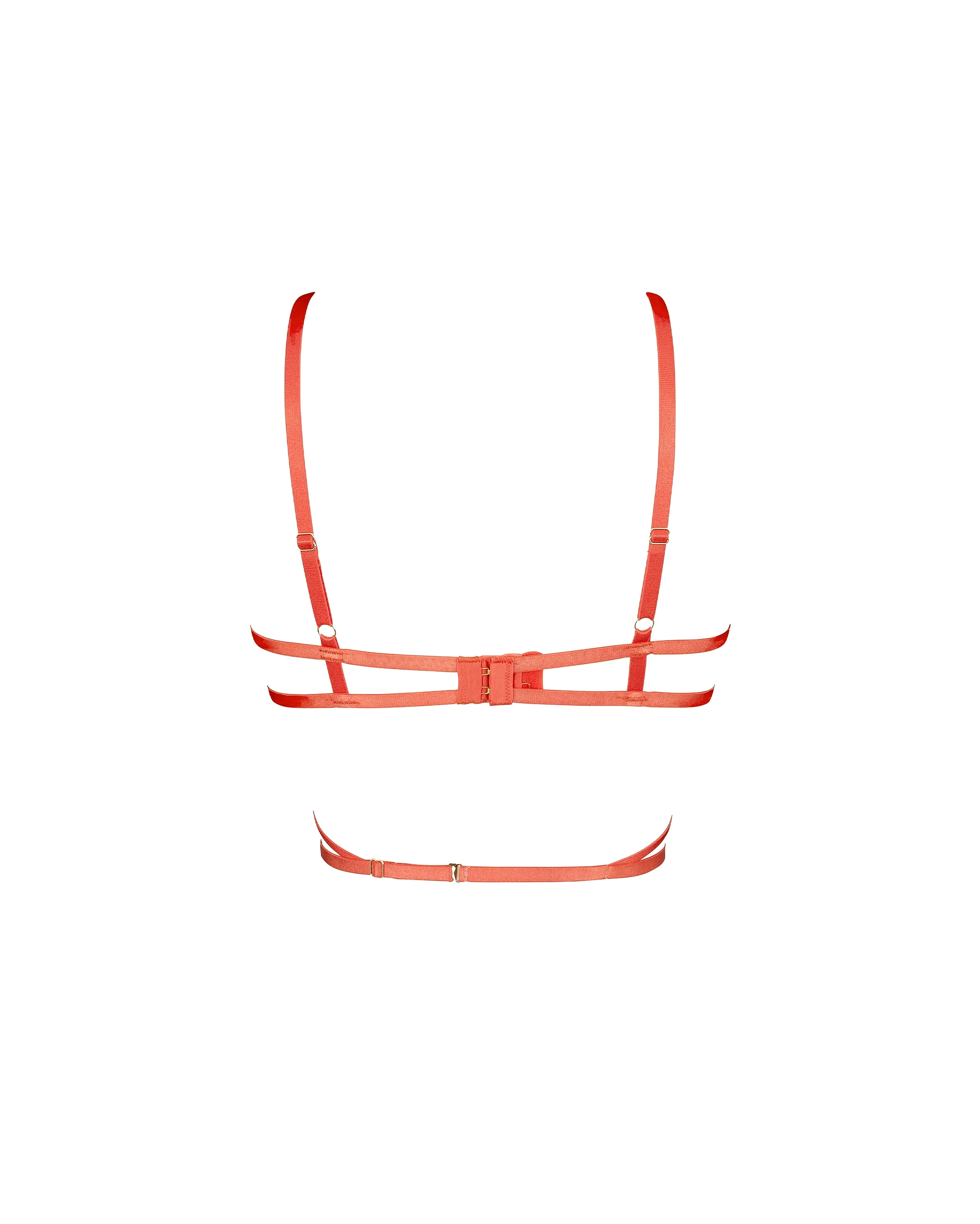 Aria Bra Cayenne Red - Image 6