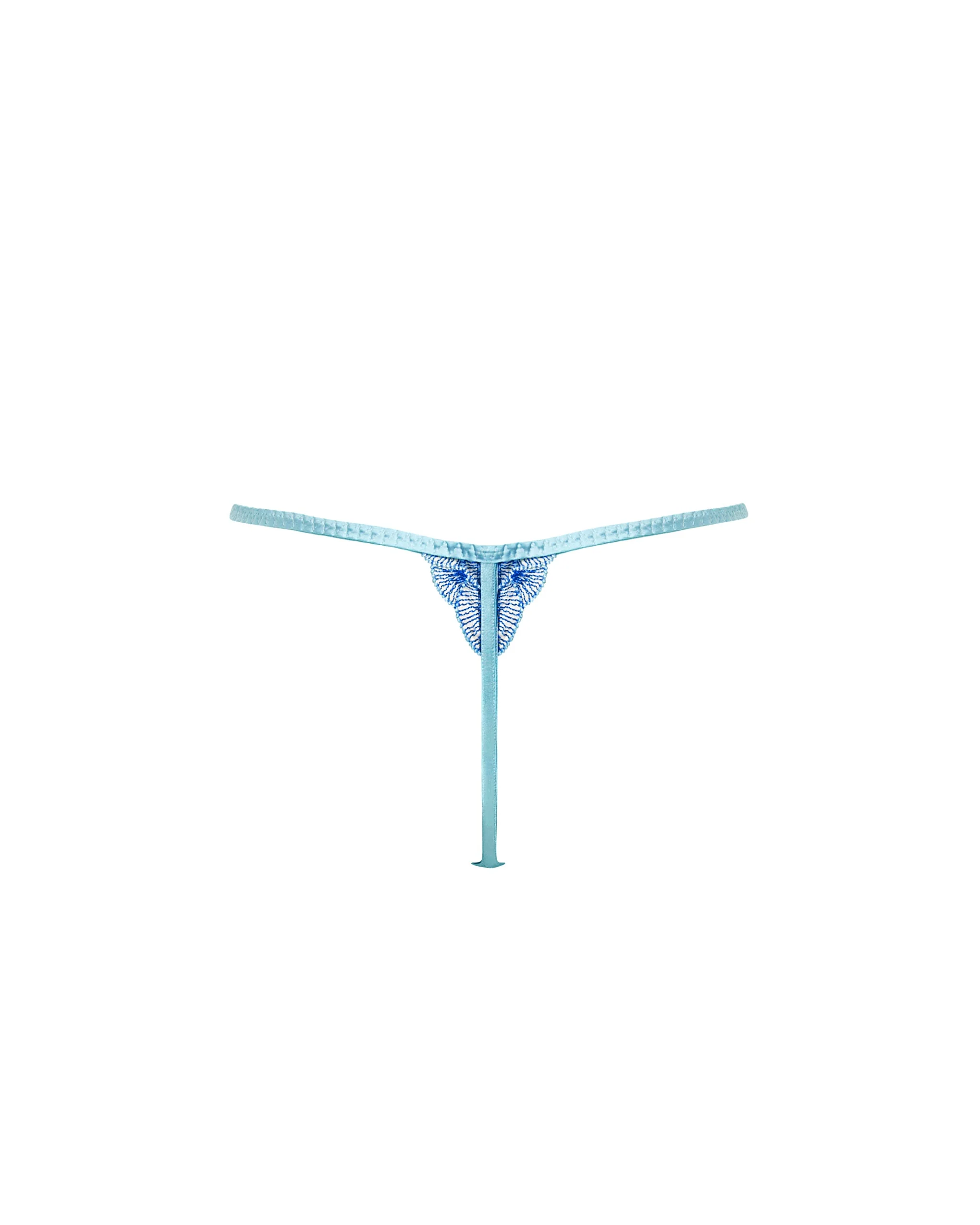 Elina Embroidered Sheer Thong Blue - Image 6