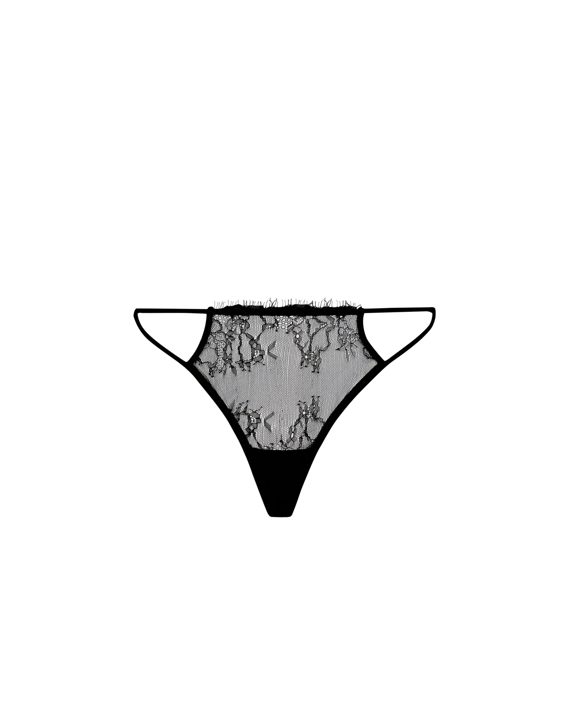 Lyra Lace Thong - Image 5